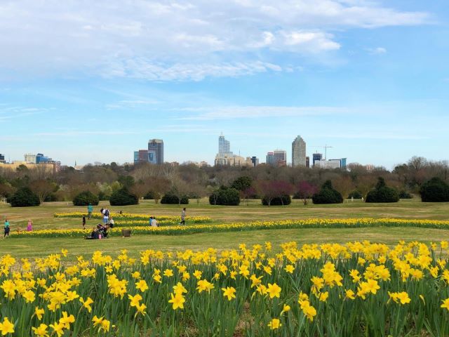 Dorothea Dix Park