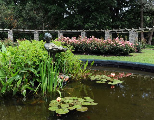 Pond at the Raleigh Rose Garden