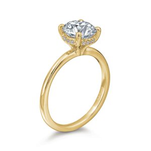 Rosamund Round Hidden Halo Solitaire Engagement Ring Engagement Rings Bailey's Fine Jewelry
