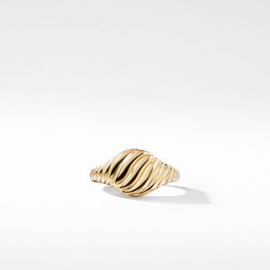 Sculpted Cable Mini Pinky Ring in 18K Gold