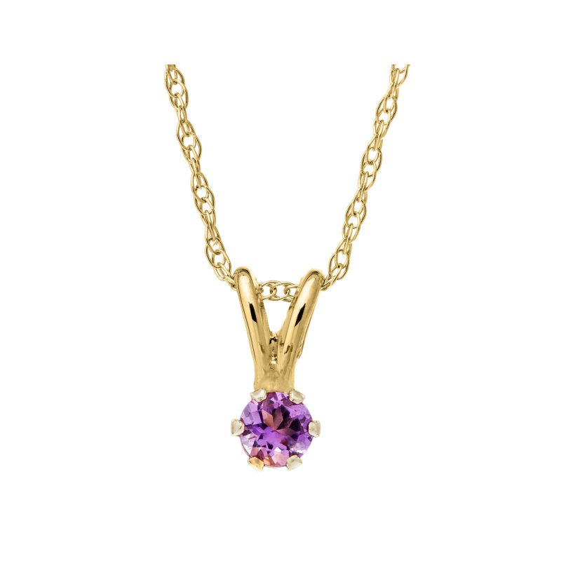 Bailey's Kids Collection February Birthstone Amethyst Pendant Necklace