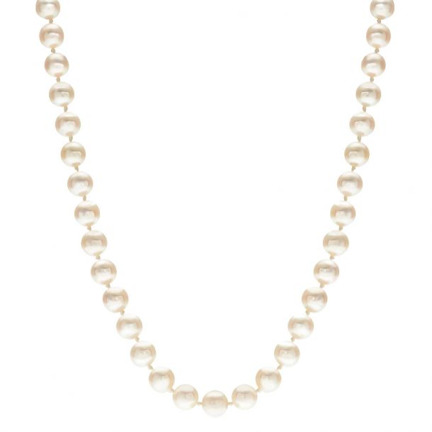 Akoya Cultured Pearl Strand in 14k Yellow Gold